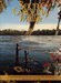 South Carolina Wildlife Magazine