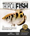 Tropical Fish Hobbyist Magazine Subscription