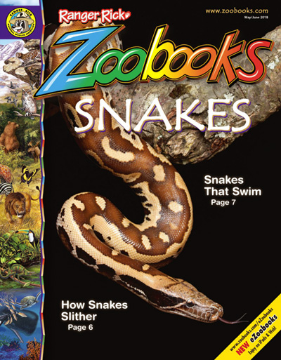Zoobooks subscription discount There are 8 Zoobooks coupon codes for you to consider including 8 sales. Most popular now: Sign Up for Zoobooks Email Newsletters and Receive Exclusive Updates & Offers. Latest offer: Buy 1, Give 1 Free Back to School Offer for $