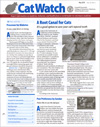 CatWatch Magazine Subscription