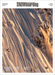 Snowboarding Magazine