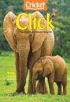 Best Price for Click Magazine Subscription