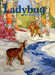 Ladybug en espanol Magazine