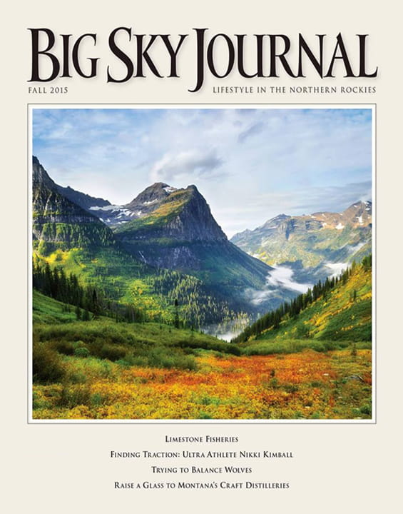 Image result for big sky journal