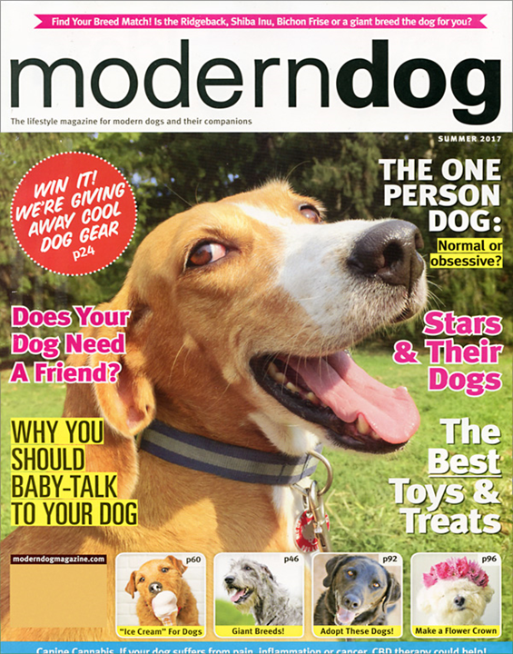 Modern Dog Magazine Modern Dog Magazine Subscription