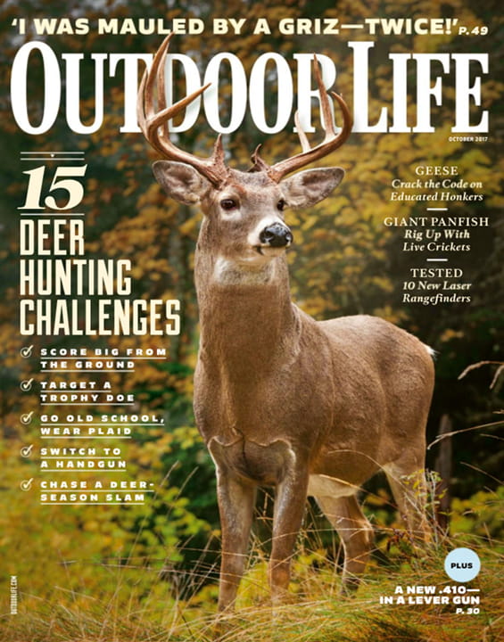 Outdoor life Magazine DECEMBER 1971 Moose Ten Feet Talk Outdoor life Magazine DECEMBER 1971 Moose Ten Feet Talk