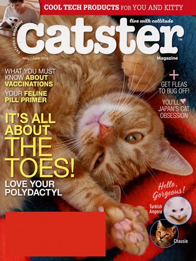 Top 10 Animal Magazines - National Geographic Kids, National Geographic Little Kids, National Geographic, Smithsonian and more Top 10 Animal Magazines - National Geographic Kids, National Geographic Little Kids, National Geographic, Smithsonian and more