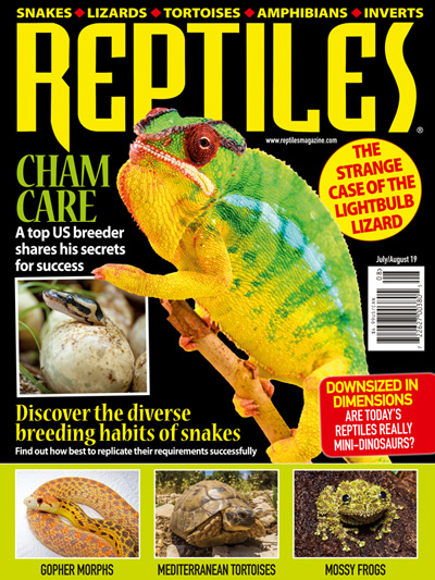 Top 10 Animal Magazines - National Geographic Kids, National Geographic Little Kids, National Geographic, Smithsonian and more Top 10 Animal Magazines - National Geographic Kids, National Geographic Little Kids, National Geographic, Smithsonian and more
