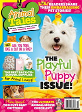 Animal Tales  612 Magazine