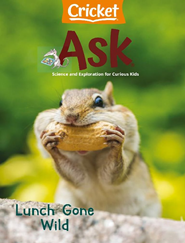 Ask Magazine