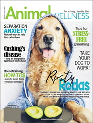 Animal Wellness Magazine