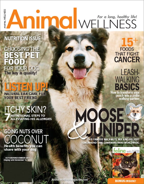Animal Wellness Magazine Subscription | MagazineLine