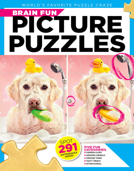 Brain Fun Picture Puzzles Magazine