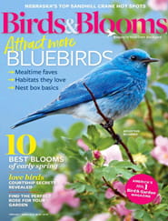 Birds & Blooms Magazine Subscription | MagazineLine