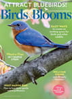 Birds  Blooms Magazine