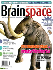 Brainspace Magazine