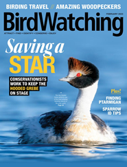 BirdWatching Magazine