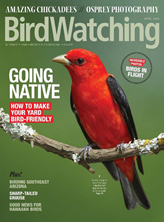 BirdWatching Magazine