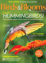 Birds  Blooms  Digital Magazine