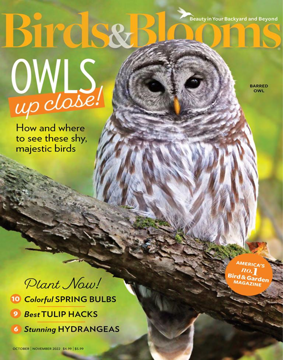 Birds & Blooms Digital Magazine Subscription MagazineLine