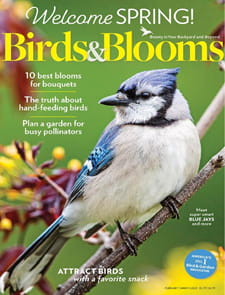 Birds & Blooms - Digital Magazine