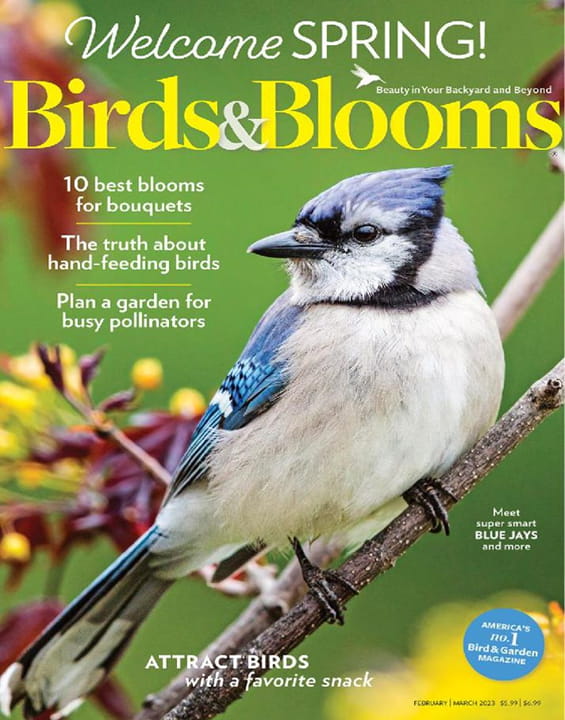 Birds & Blooms Digital Magazine Subscription MagazineLine