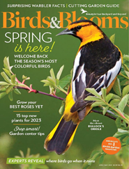 Birds & Blooms - Digital Magazine