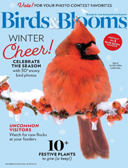 Birds & Blooms - Digital Magazine