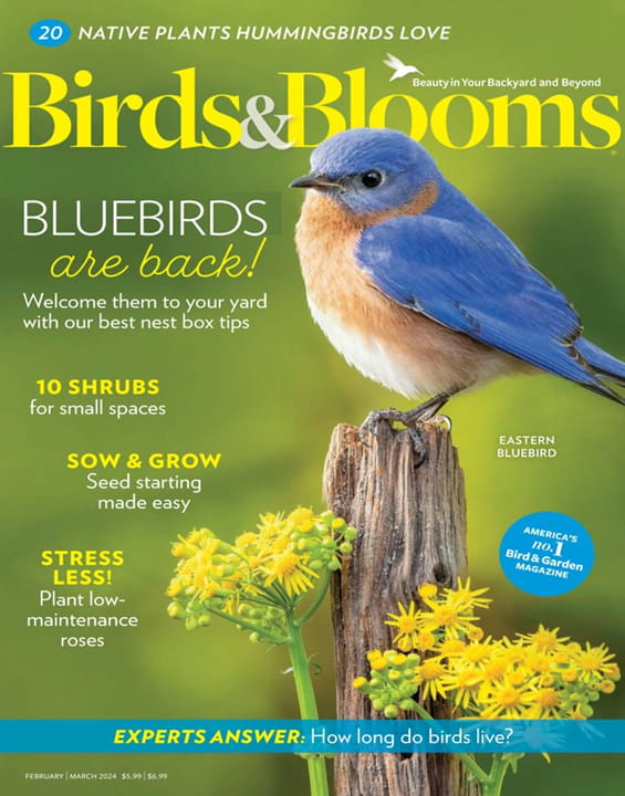 Birds & Blooms Digital Magazine Subscription MagazineLine