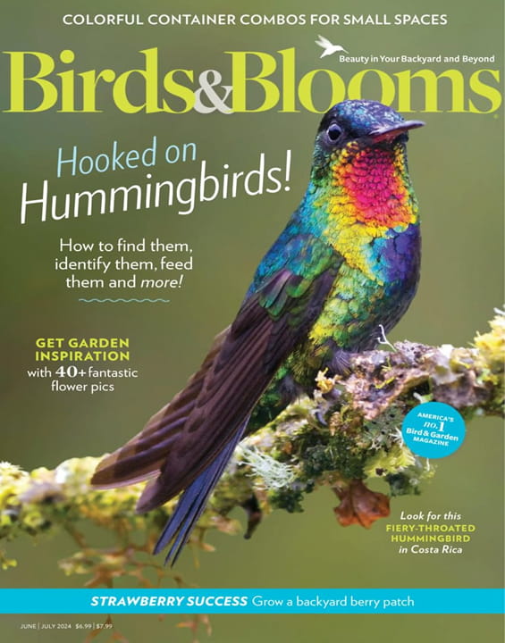 Birds & Blooms Digital Magazine Subscription MagazineLine