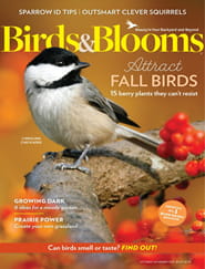 Birds & Blooms - Digital Magazine