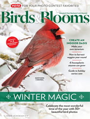 Birds & Blooms - Digital Magazine