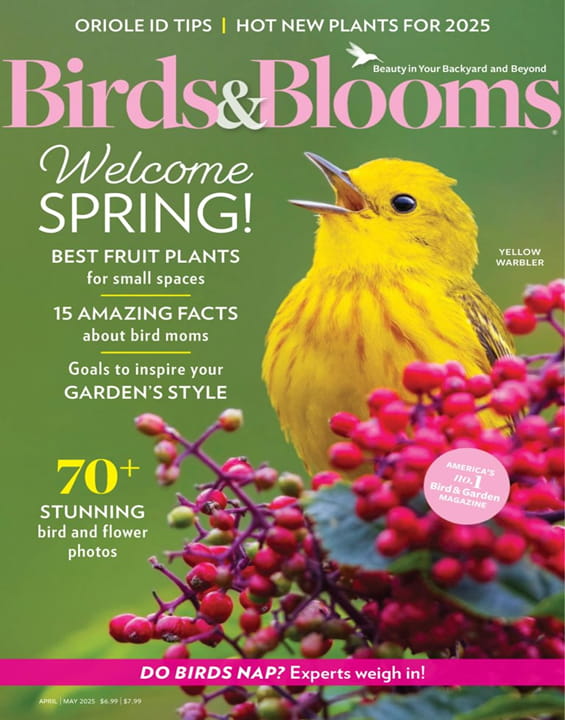 Birds & Blooms - Digital Magazine