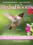 Birds & Blooms - Digital