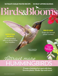 Birds & Blooms - Digital Magazine