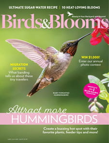 Birds & Blooms - Digital Magazine