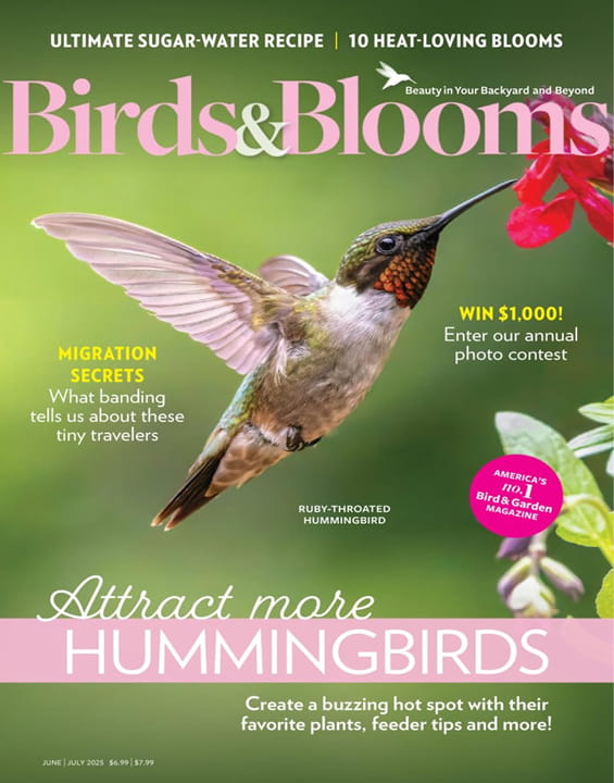 Birds & Blooms - Digital Magazine