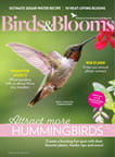 Birds & Blooms - Digital