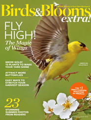 Birds & Blooms Extra Magazine Subscription | MagazineLine
