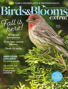 Birds & Blooms Extra Magazine