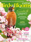 Birds & Blooms Extra