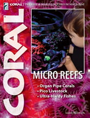 Coral Magazine