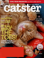 Catster Magazine