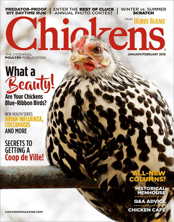 Chickens Magazine Subscription MagazineLine
