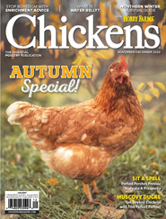 Chickens Magazine