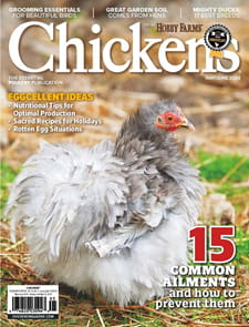 Chickens Magazine