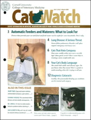 CatWatch Magazine