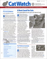 CatWatch Magazine