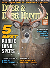 Deer  Deer Hunting Magazine