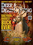 Deer & Deer Hunting